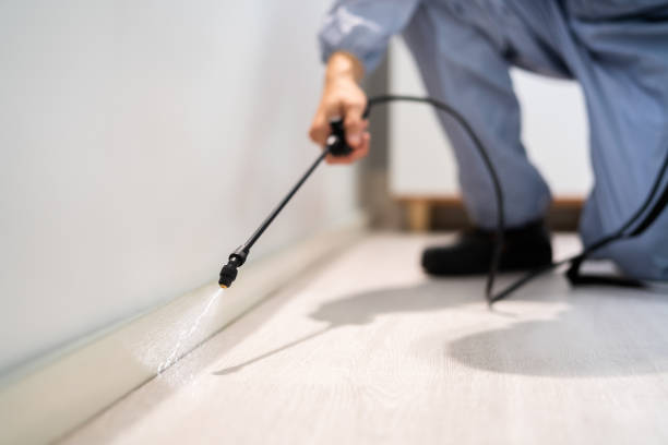 Licensed Termite Control service in East Quincy, CA - Nex Pest Control