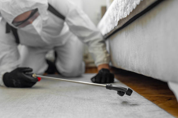 Professional Termite Control technician working in East Quincy, CA