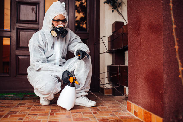 Reliable Termite Control contractor in East Quincy, CA by Nex Pest Control